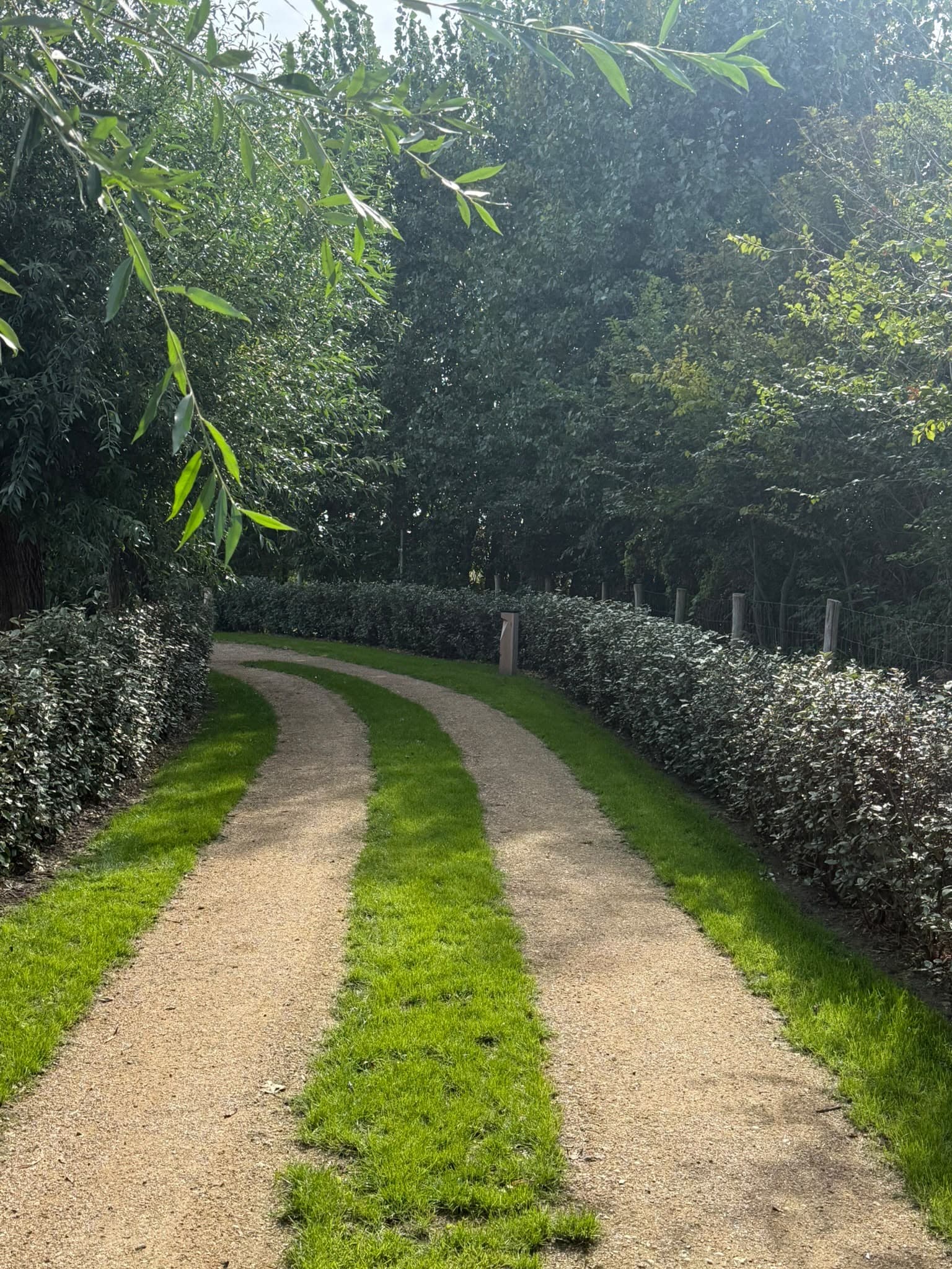 Oprit met twee rijstroken in grind en een grasstrook in het midden, tussen hagen